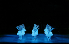 2012年4月30日(祝・月)　第32回　発表会　「白鳥の湖」全幕「オズの魔法使い」「ディズニーファンタジー」
